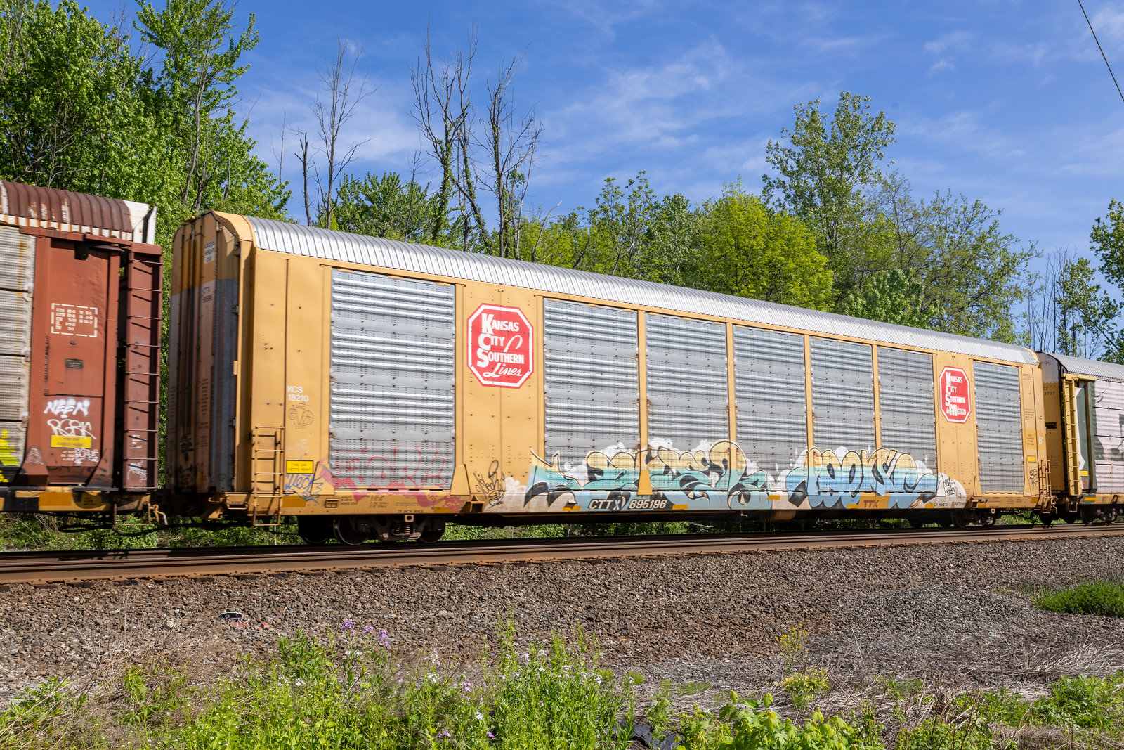 CTTX 695196