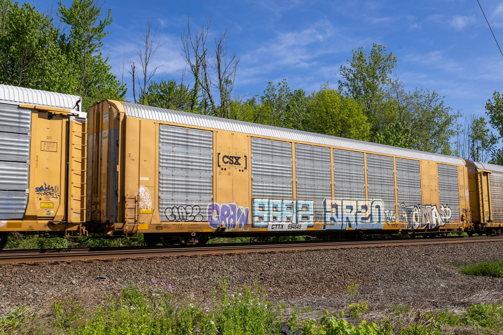 CTTX 694649