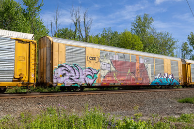 CTTX 690076
