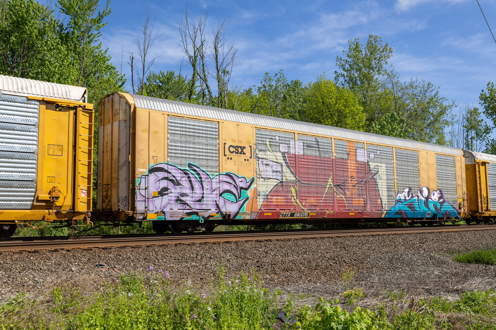 CTTX 690076