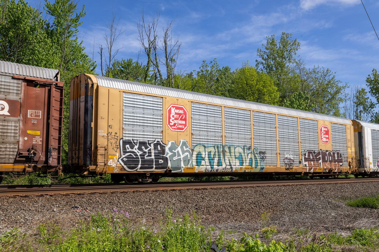 CTTX 694098
