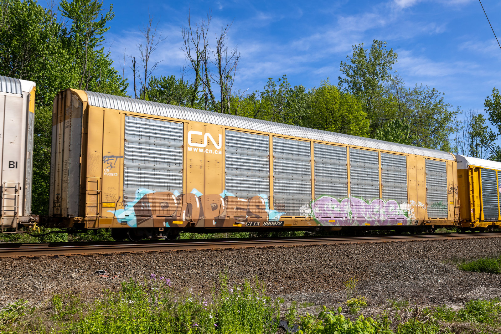 CTTX 690972