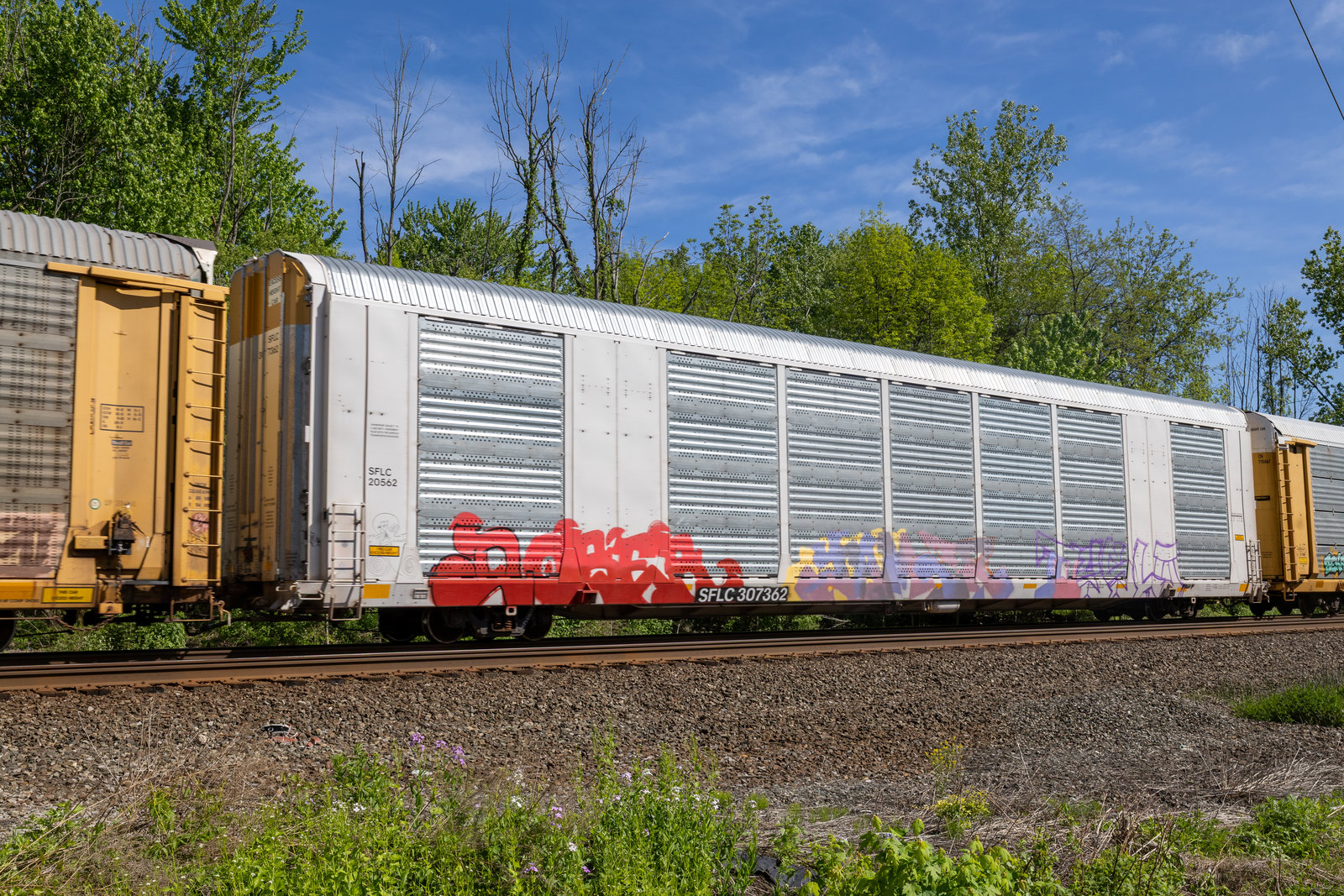 SFLC 307362