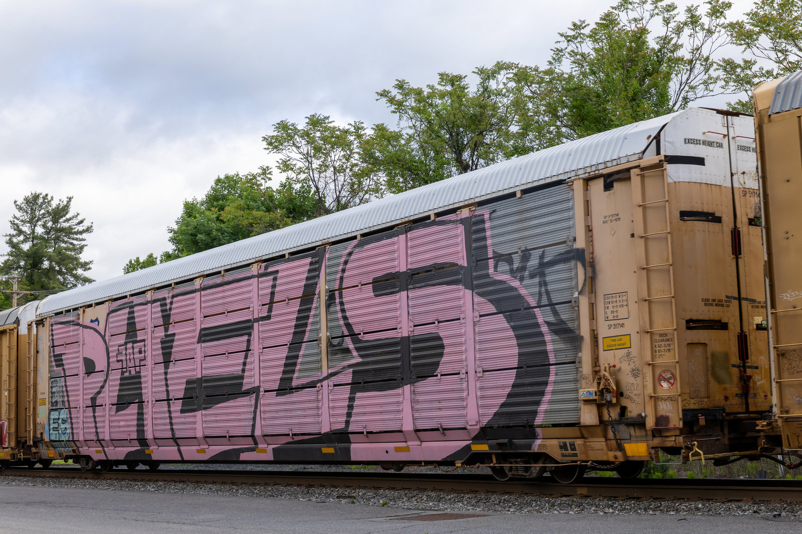 SP 517141