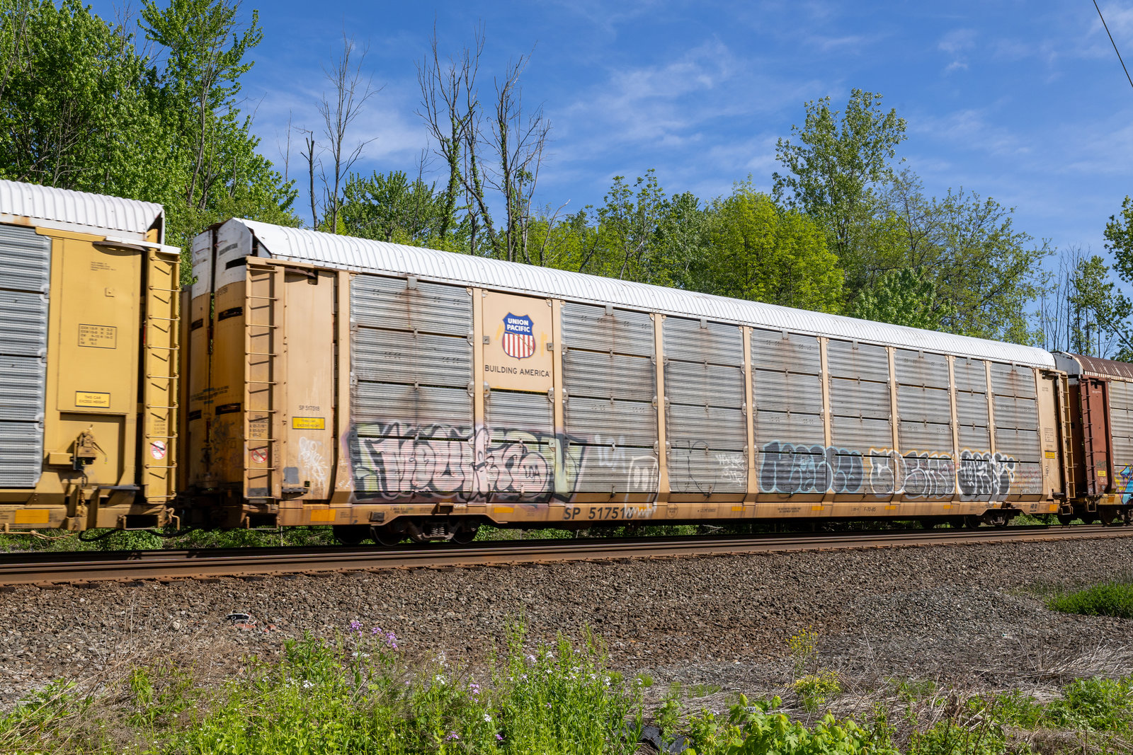 SP 517518