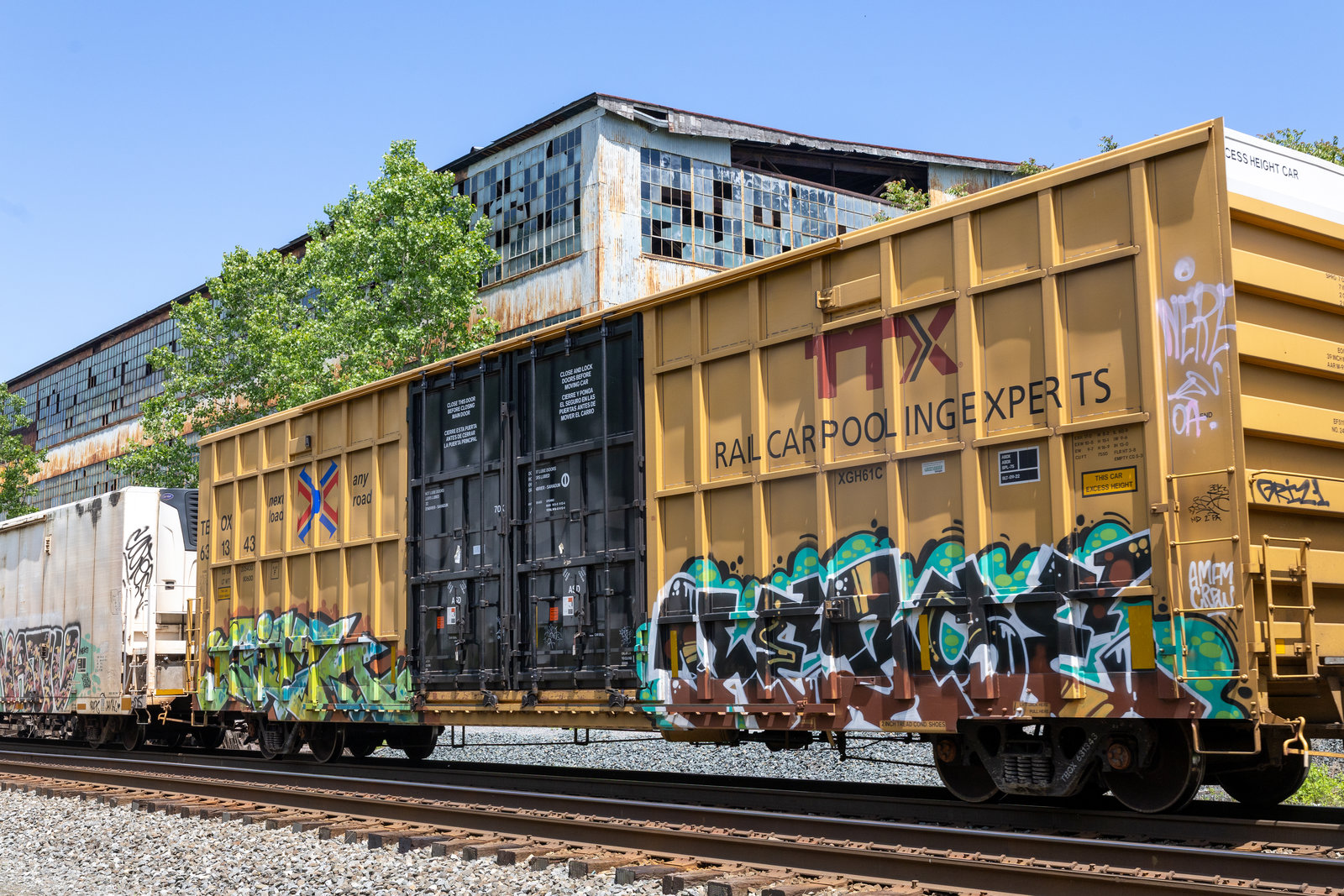 TBOX 631343