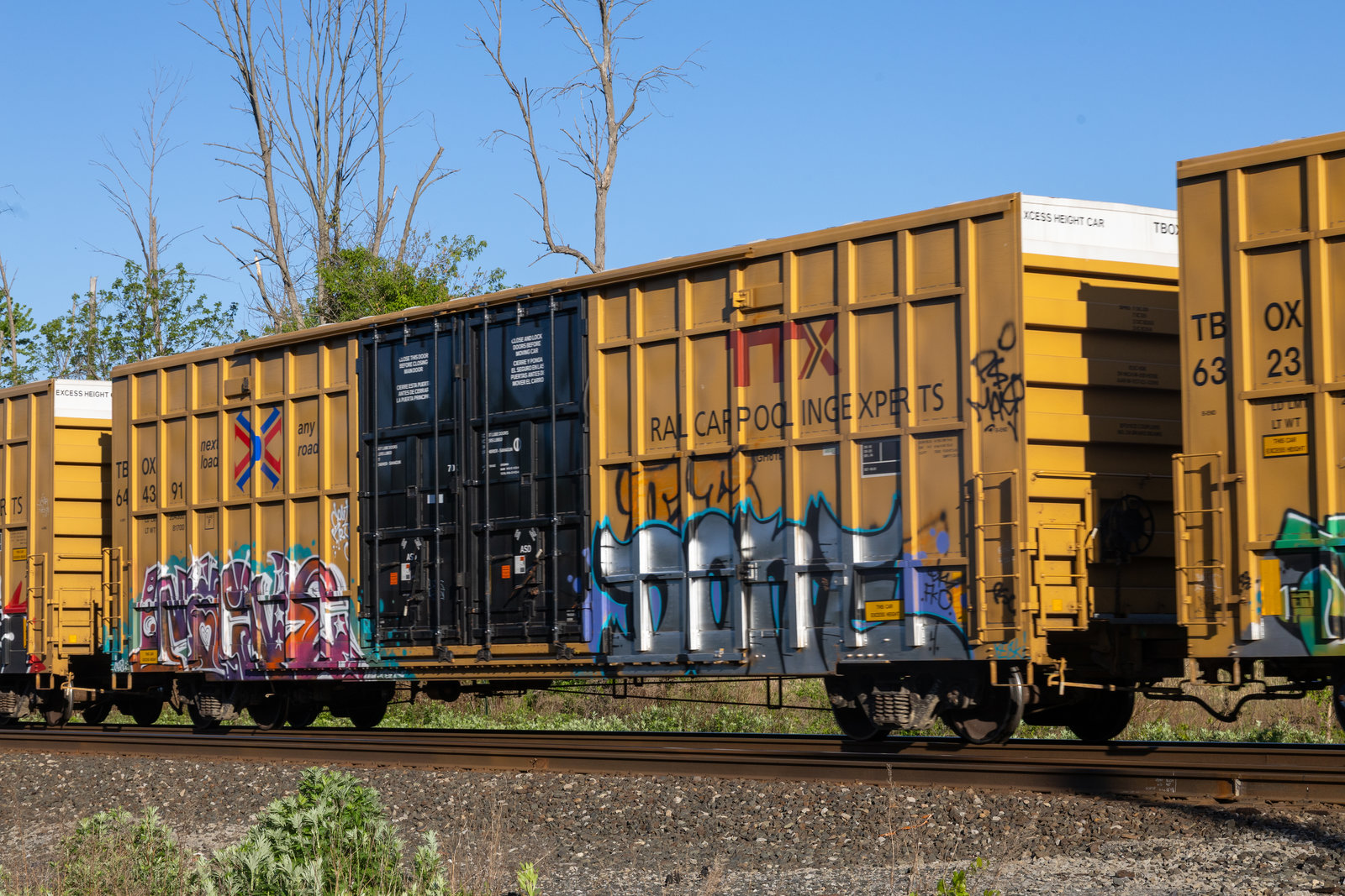 TBOX 644391