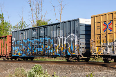AOK 167149