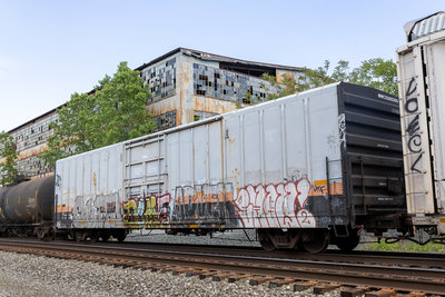MWCX 500393