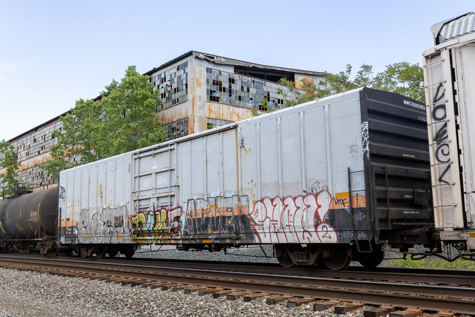 MWCX 500393
