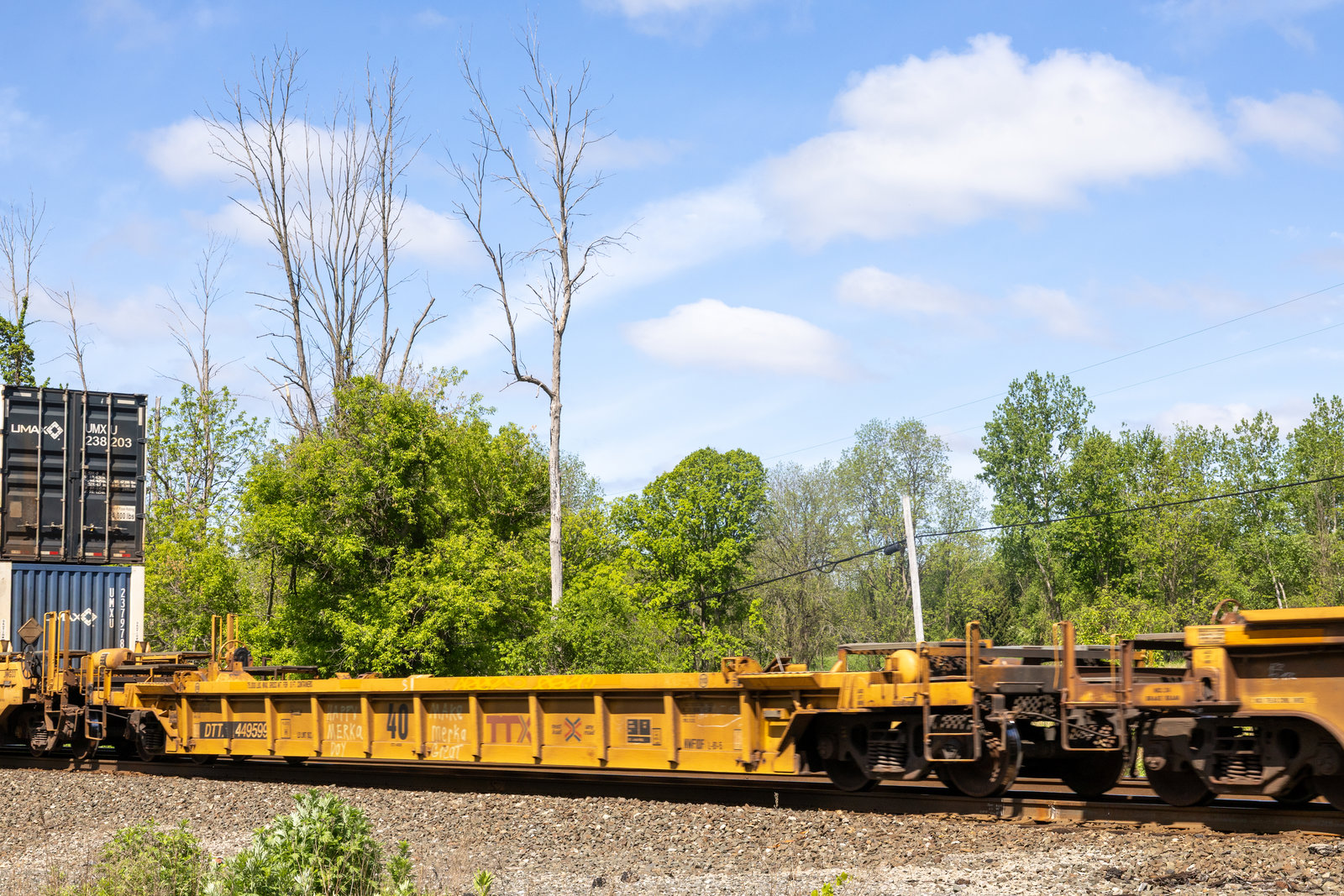 DTTX 449599