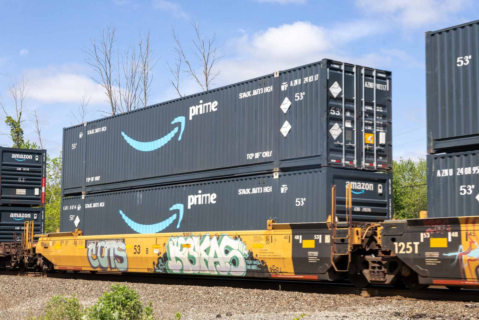 DTTX 795315B