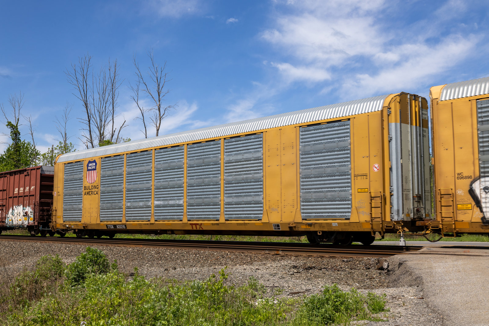 TTGX 822215