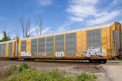 TTGX 696898
