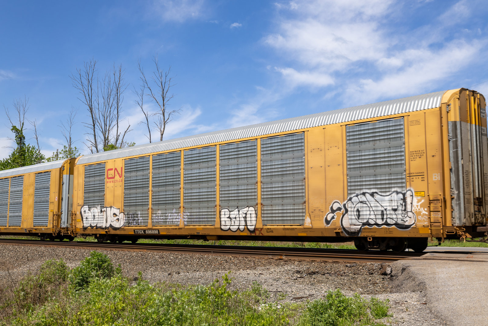 TTGX 696898