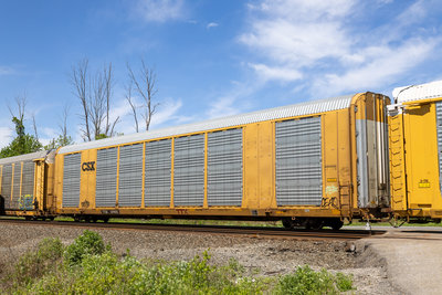 TTGX 699815