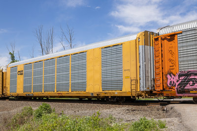 TTGX 823806