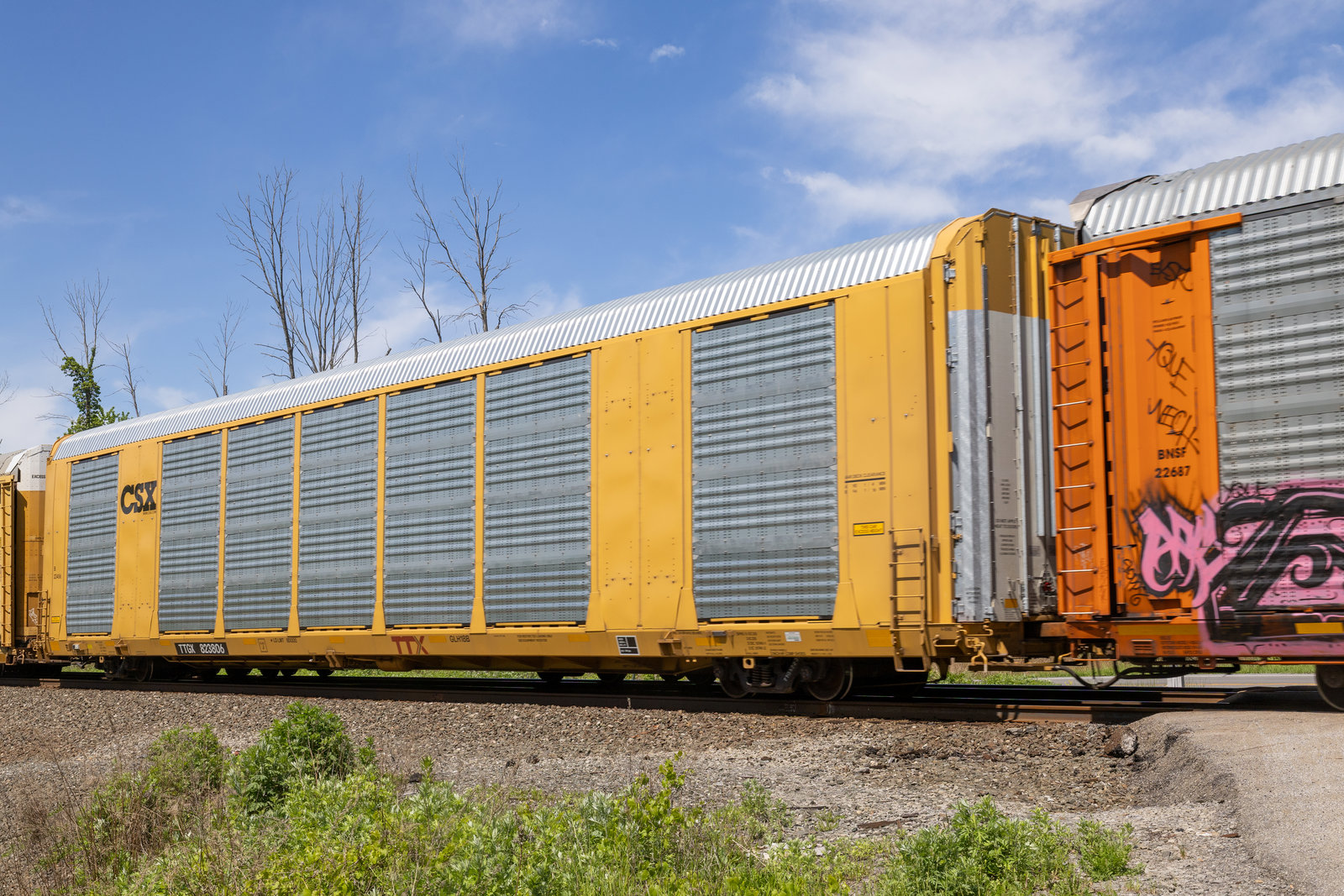 TTGX 823806