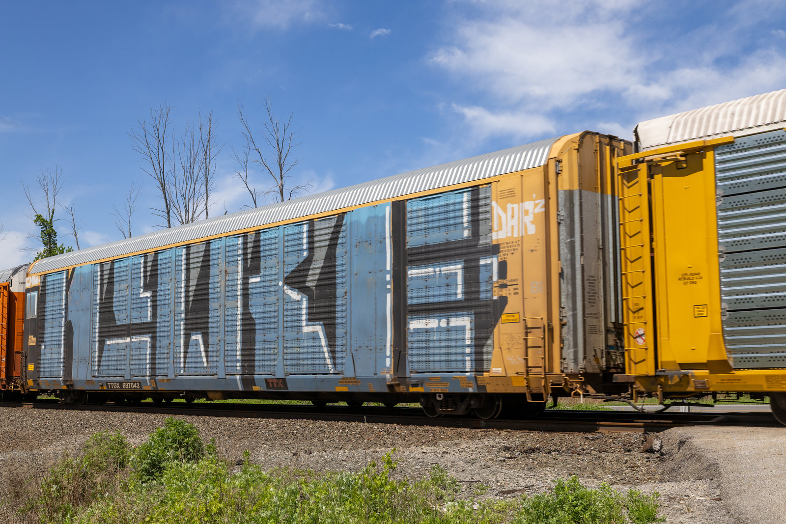 TTGX 697043