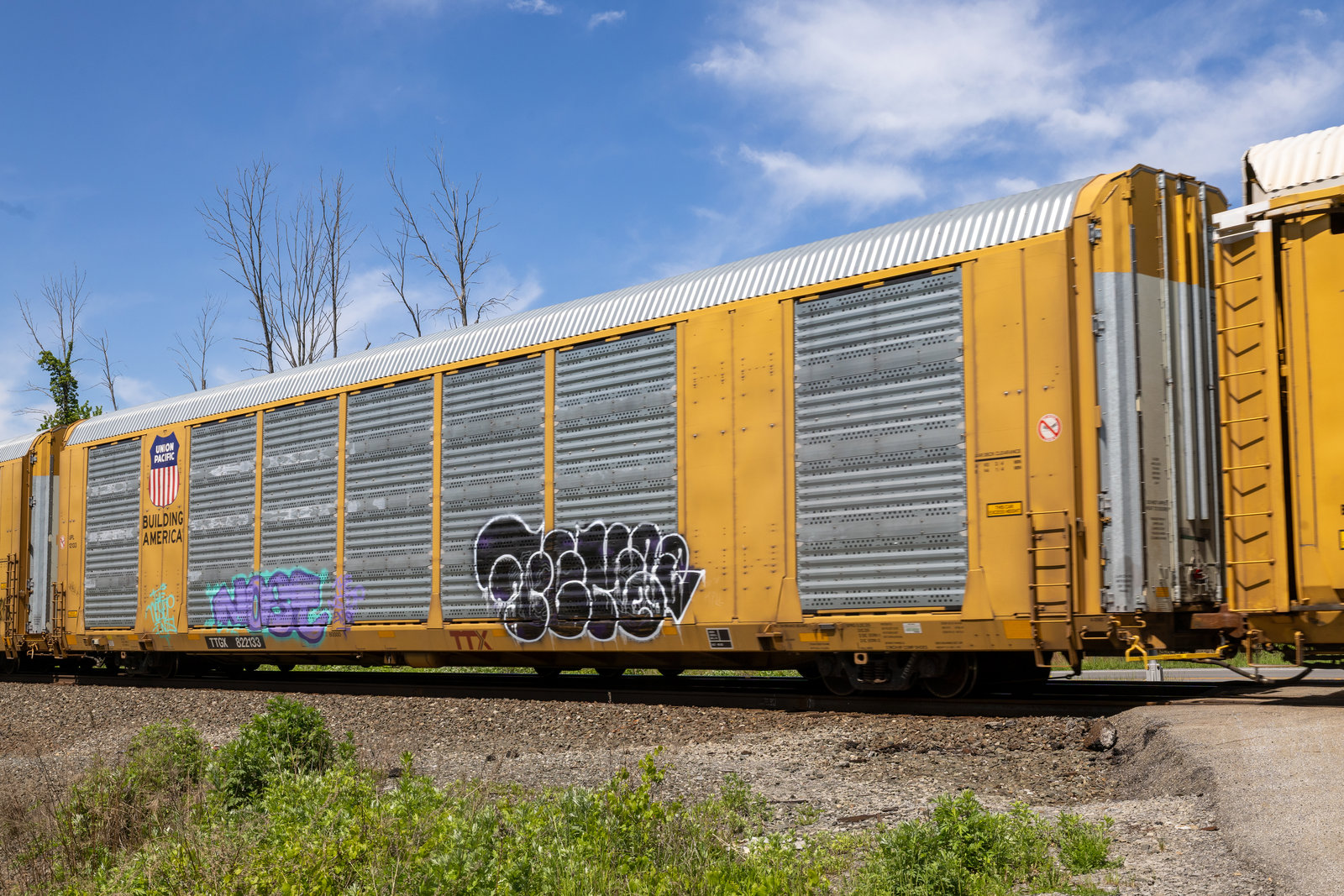 TTGX 822133