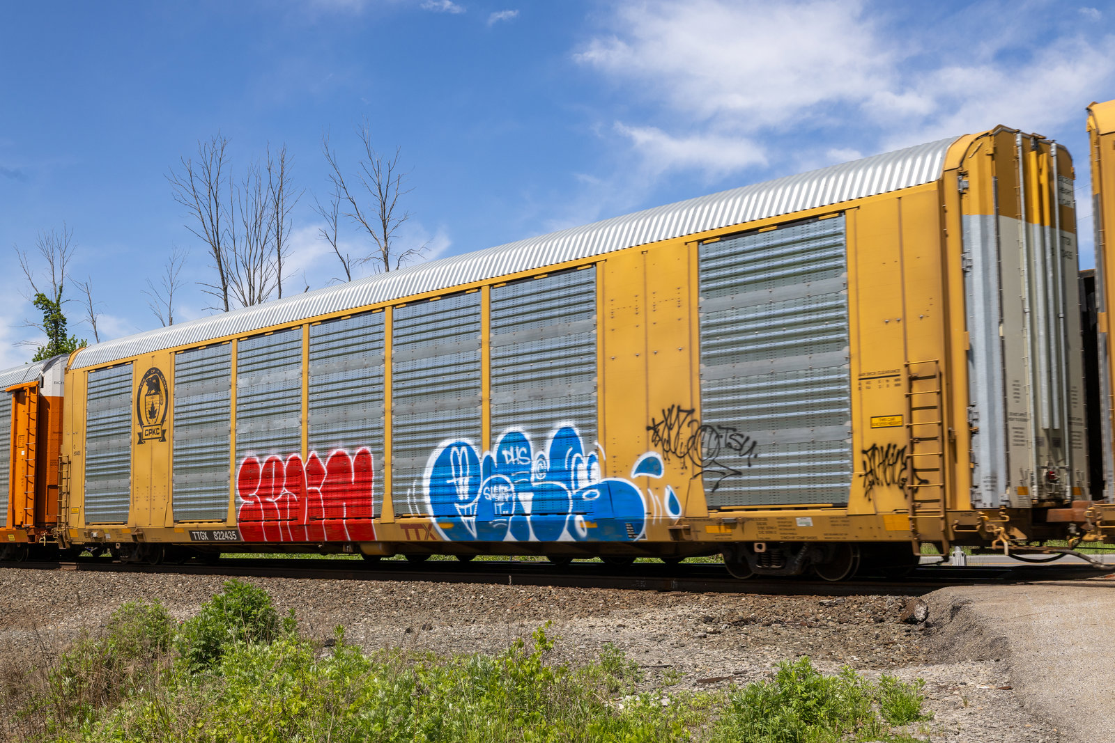 TTGX 822435