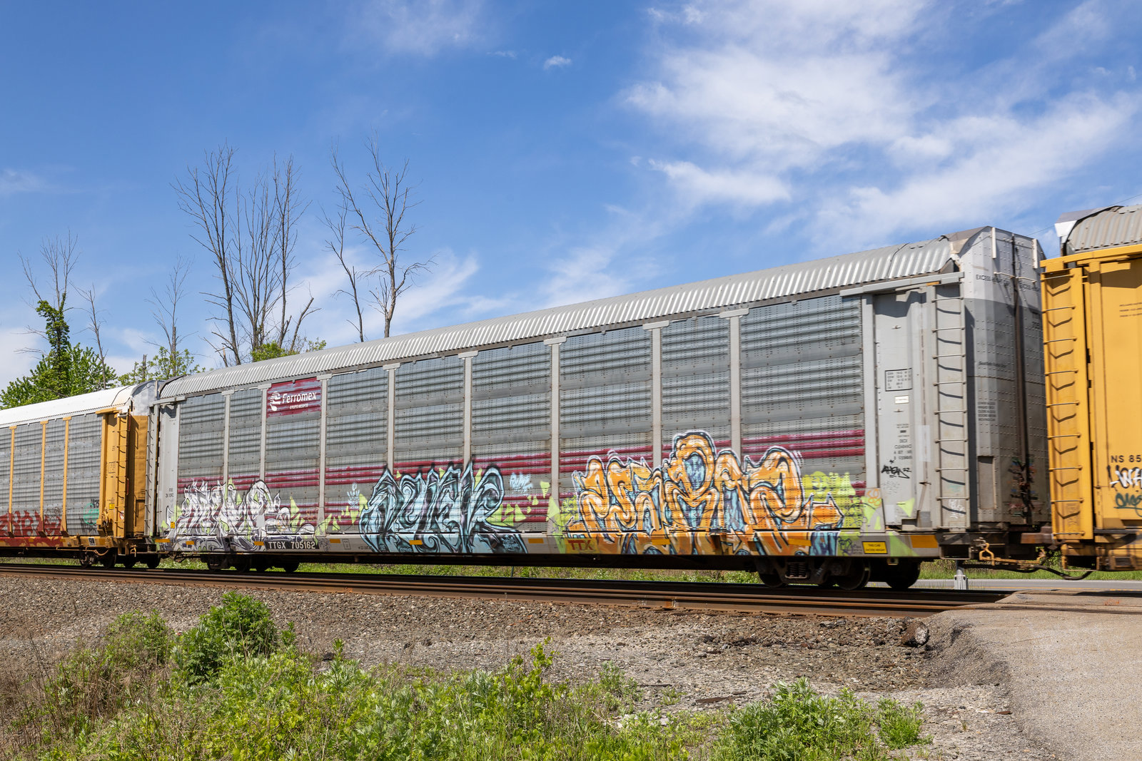 TTGX 705162