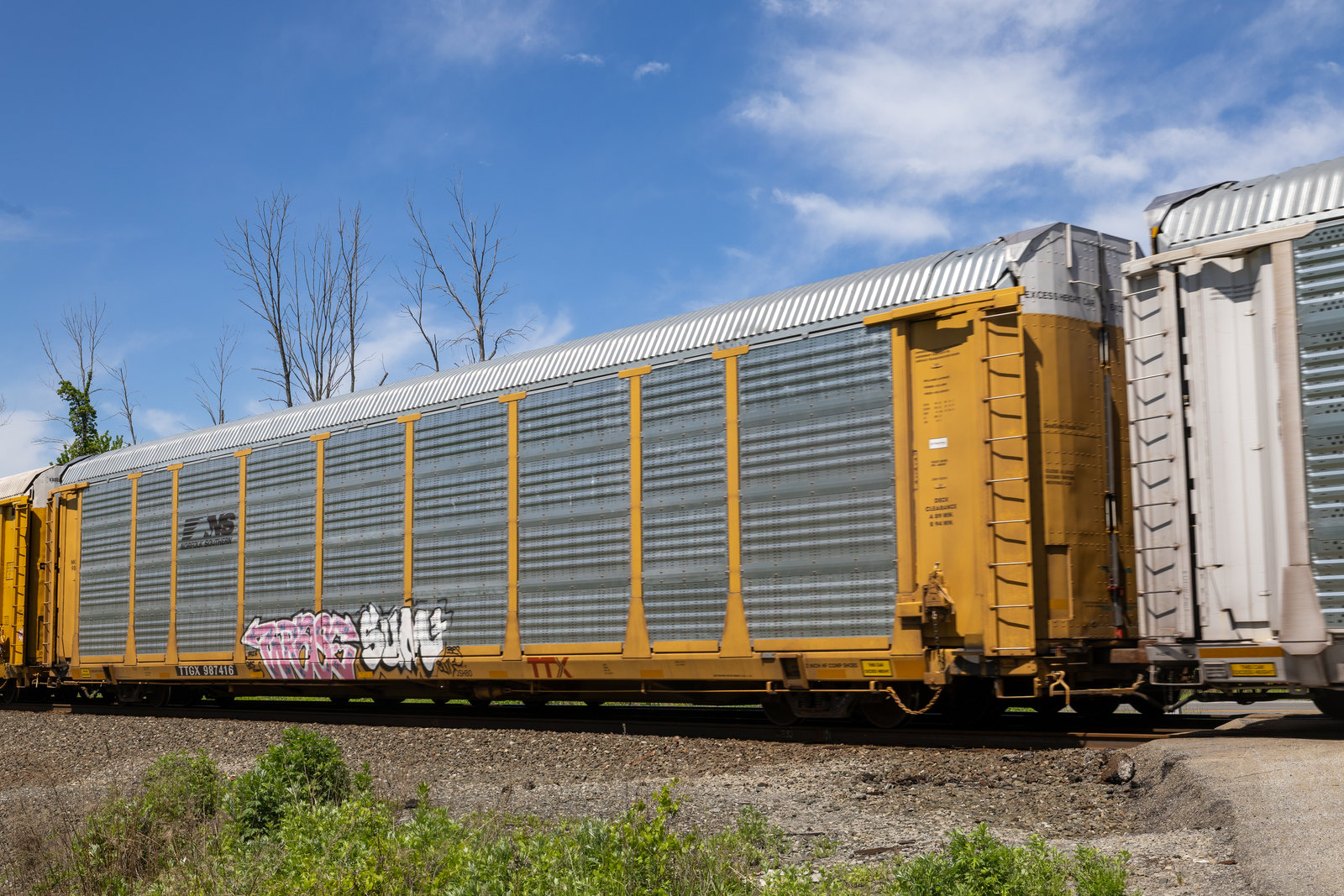 TTGX 987416