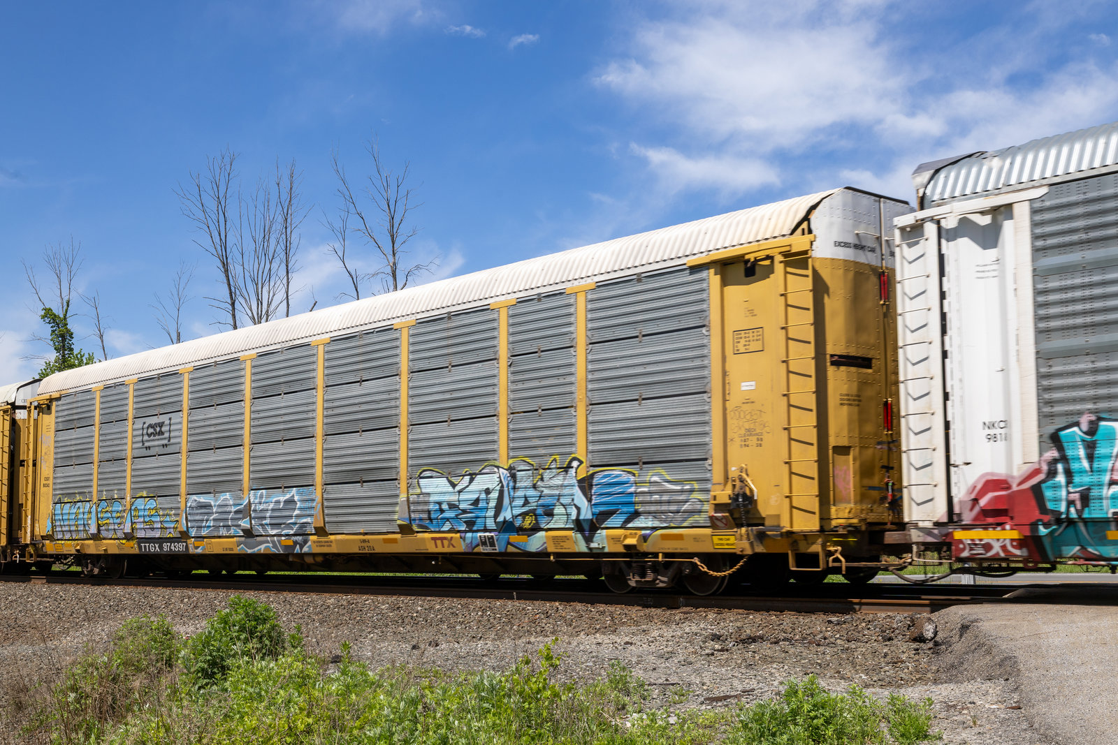 TTGX 974397