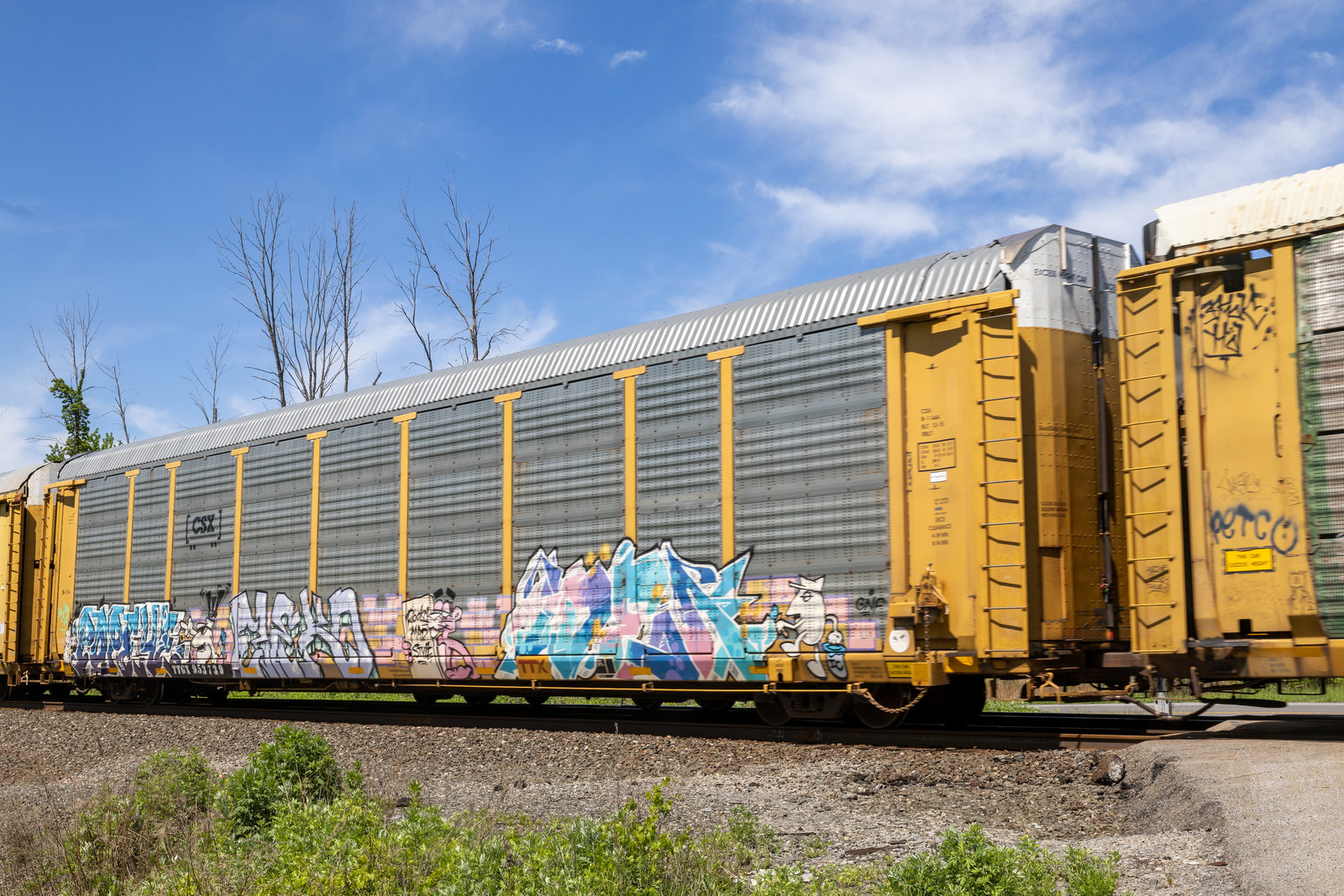 TTGX 953739