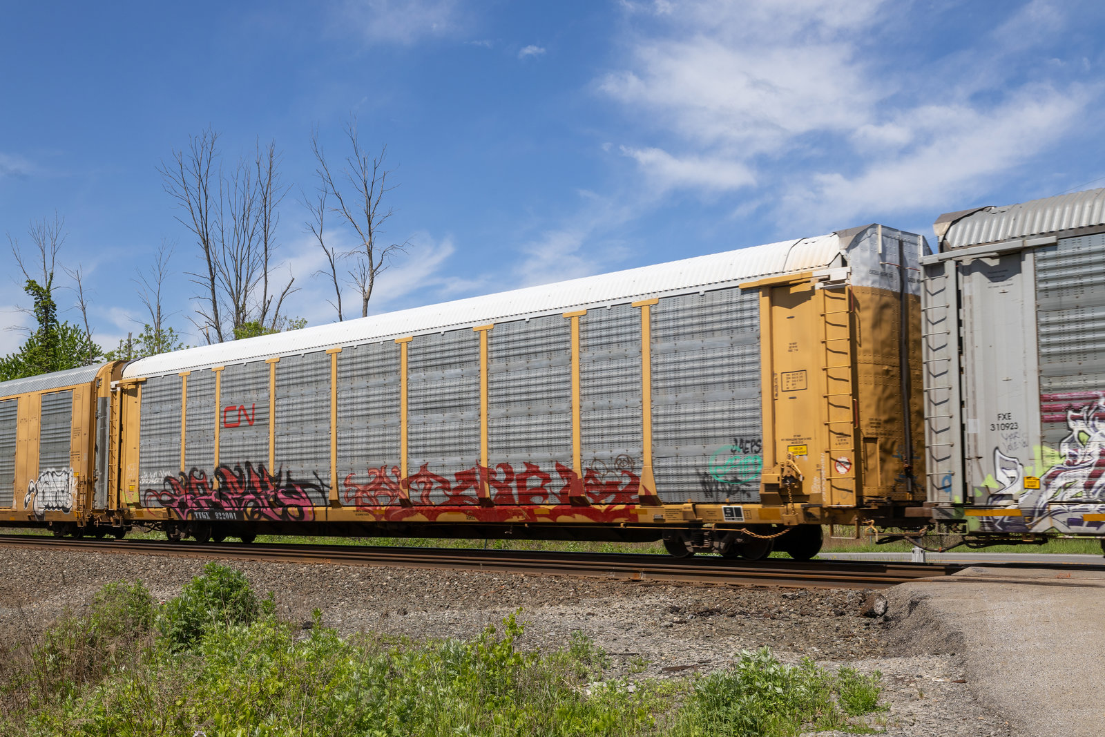 TTGX 922001