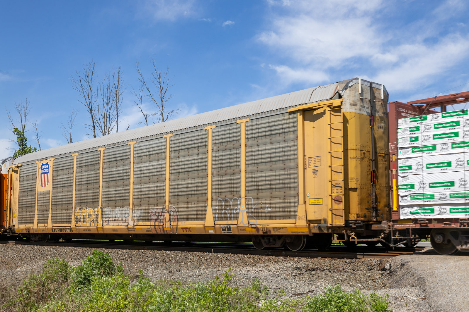 TTGX 996676