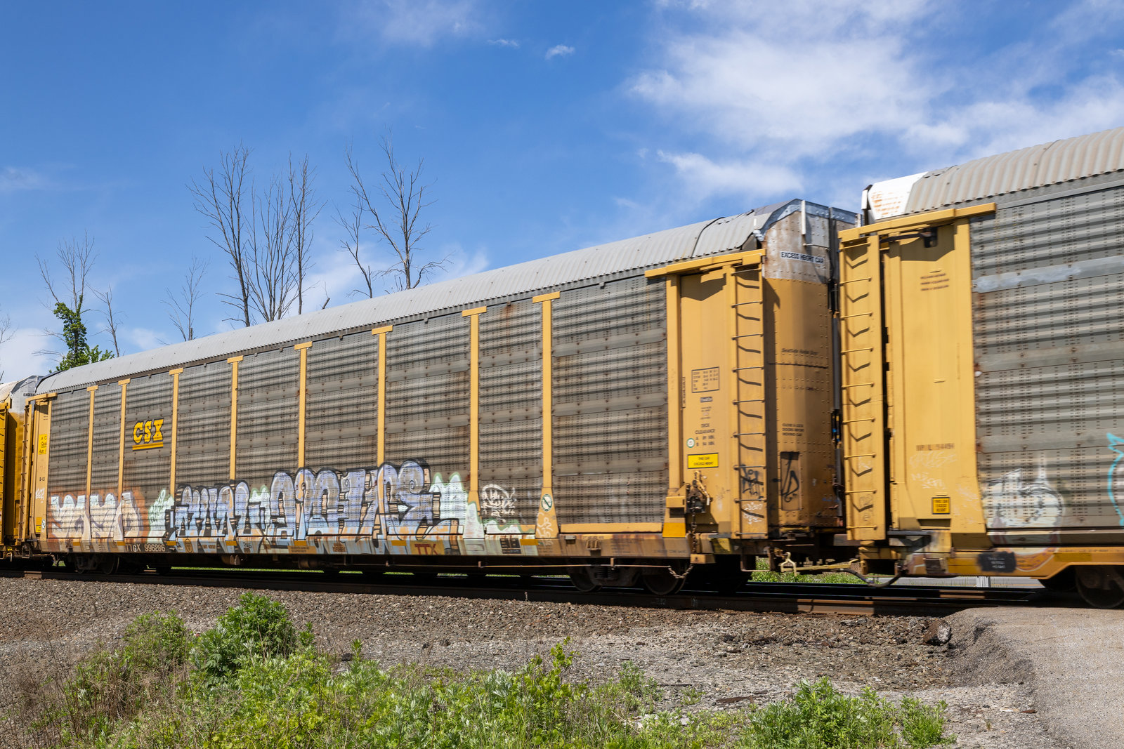 TTGX 996286