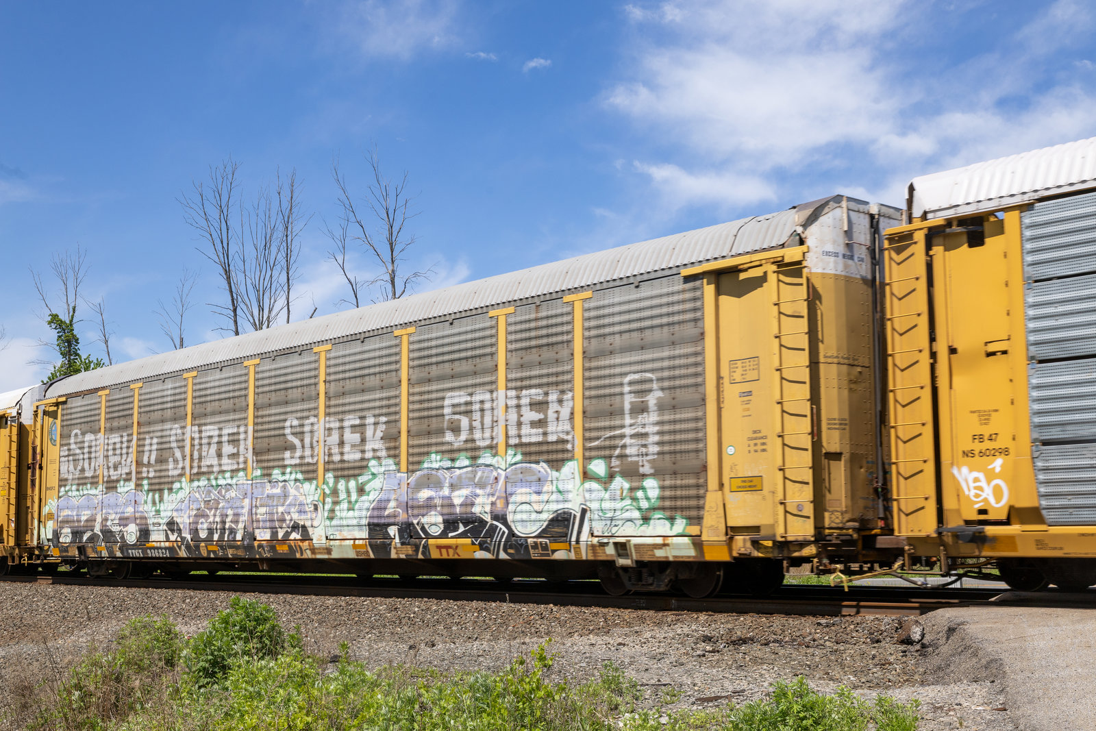 TTGX 986824