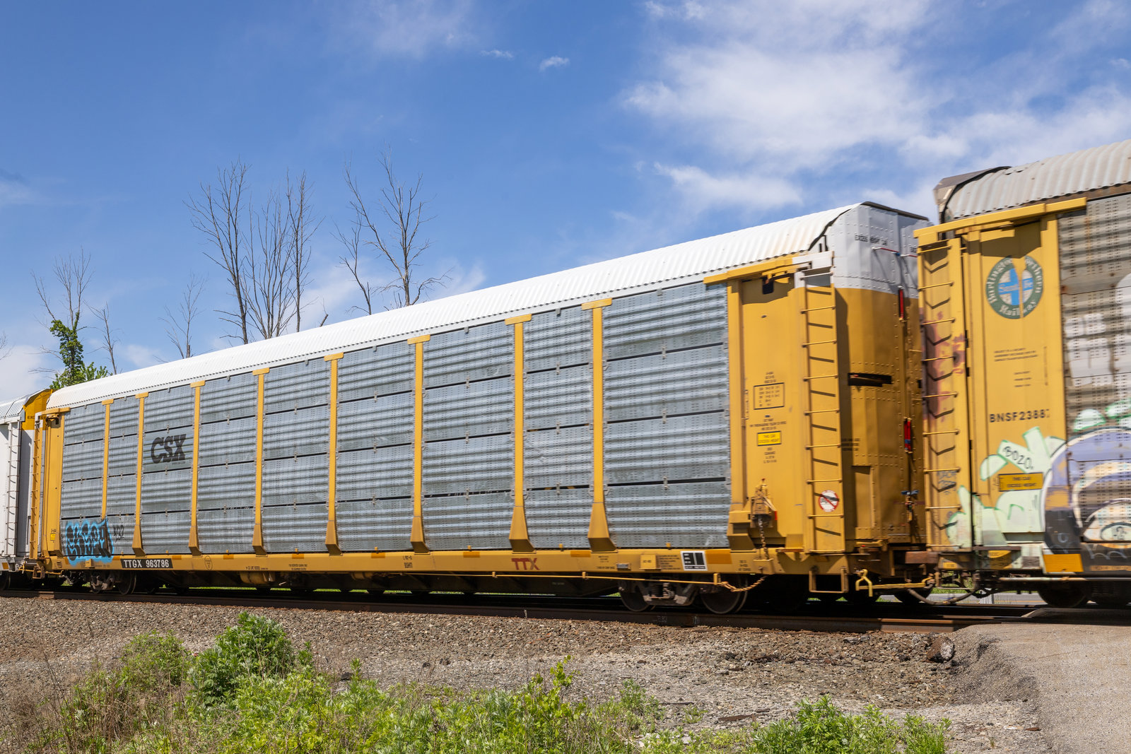 TTGX 963786