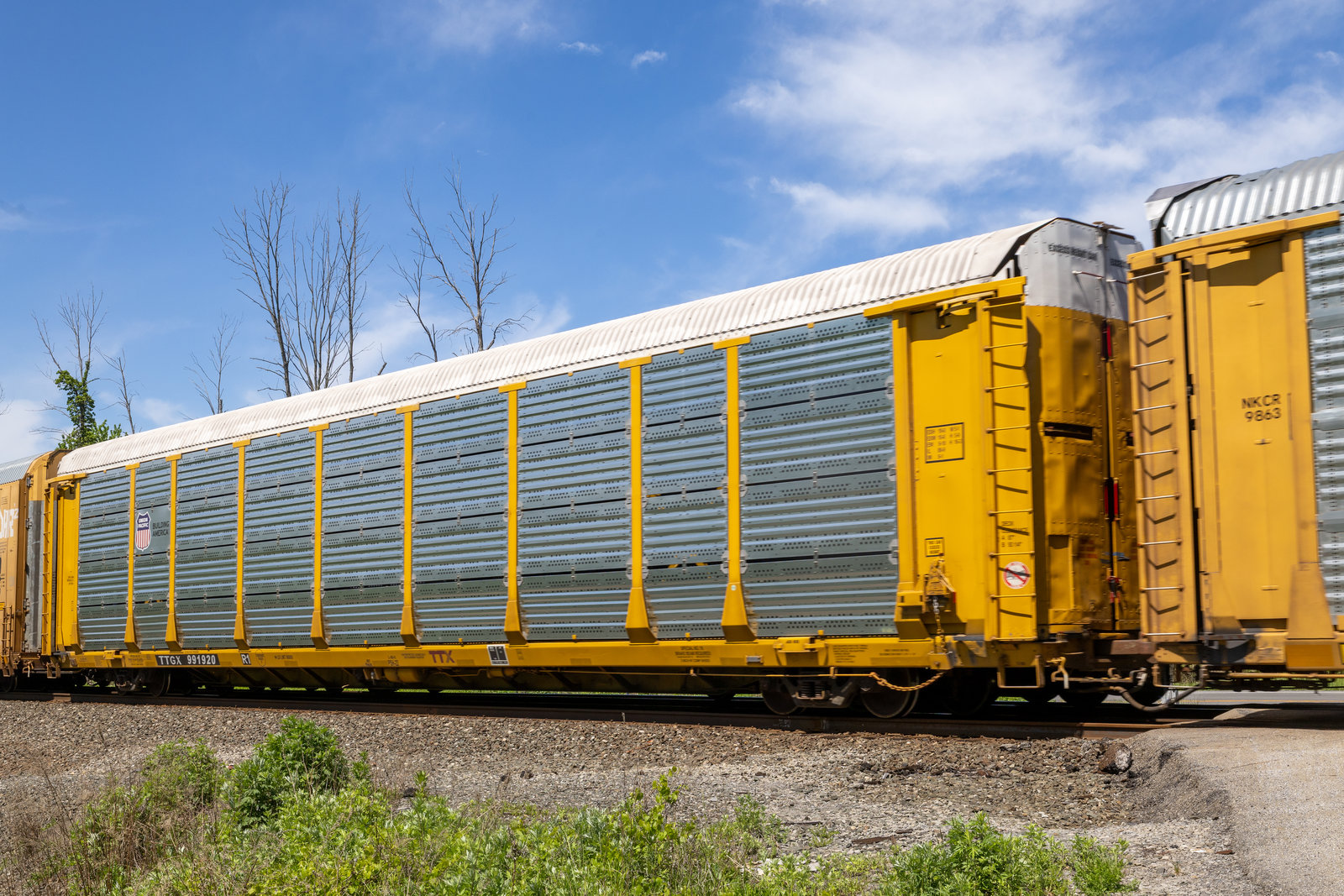 TTGX 991920