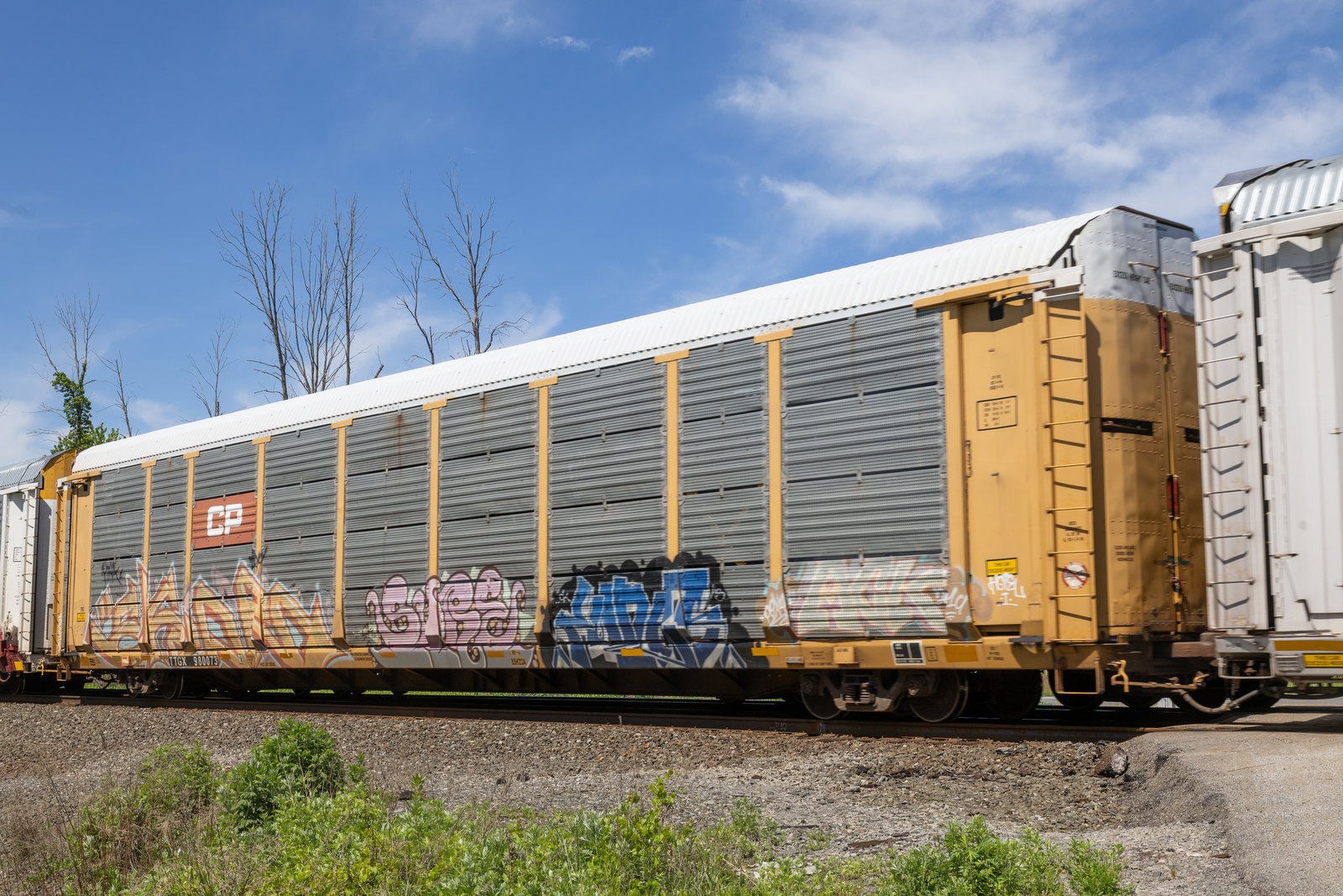 TTGX 980073