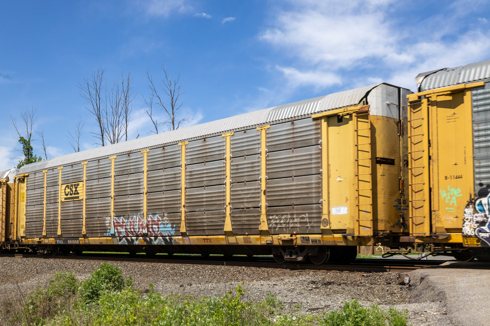 TTGX 991668