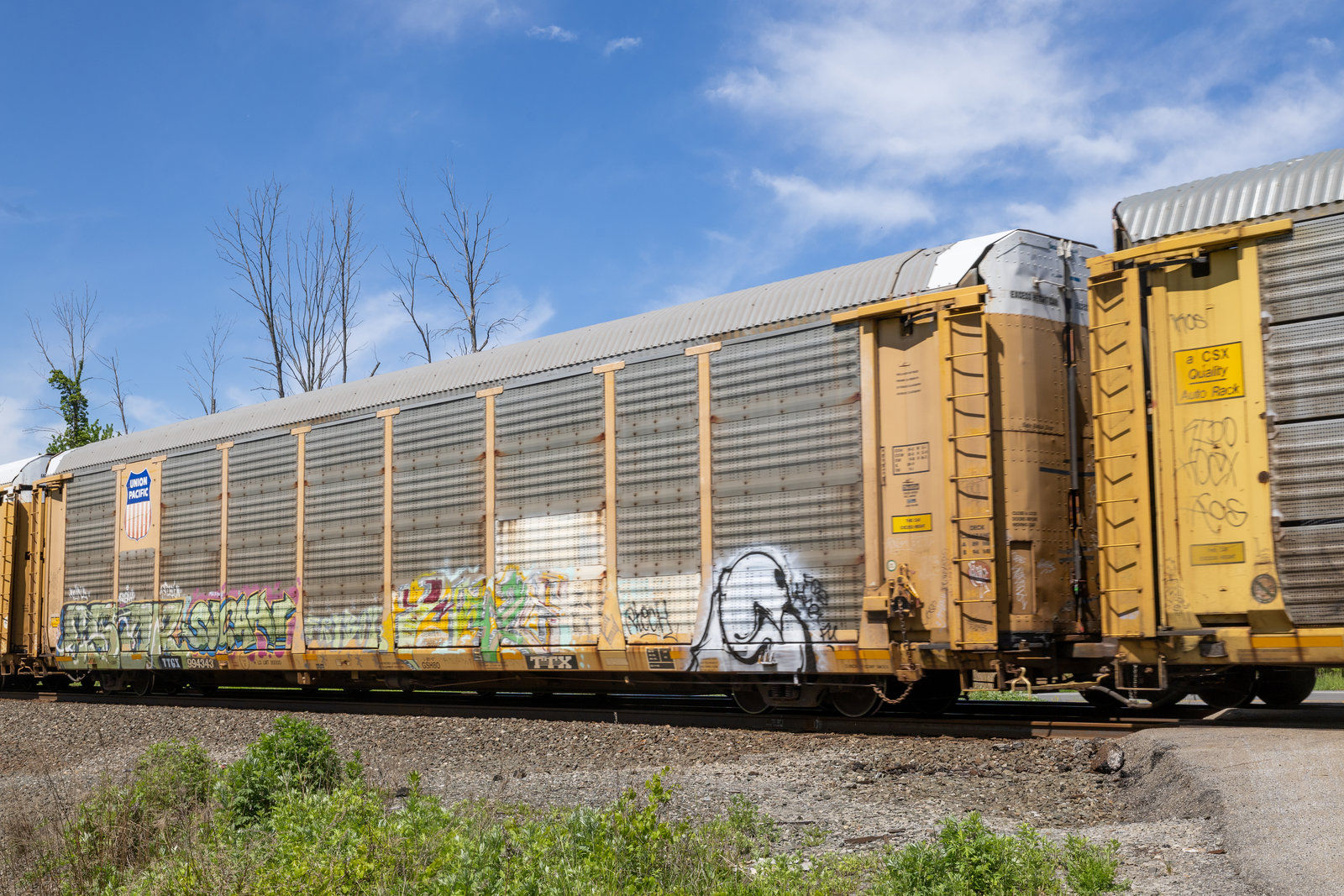 TTGX 994343