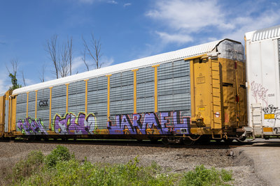 TTGX 254888