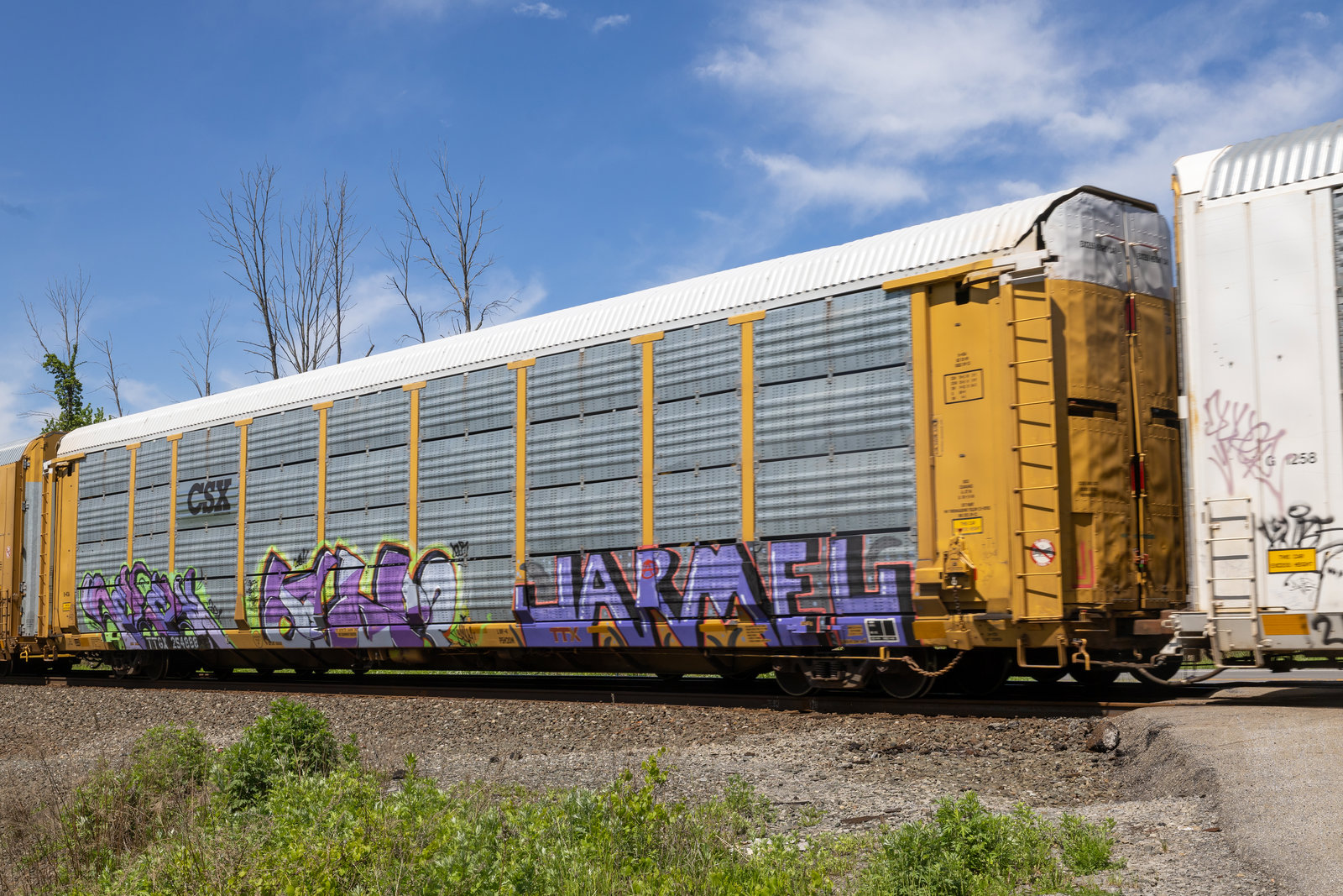 TTGX 254888