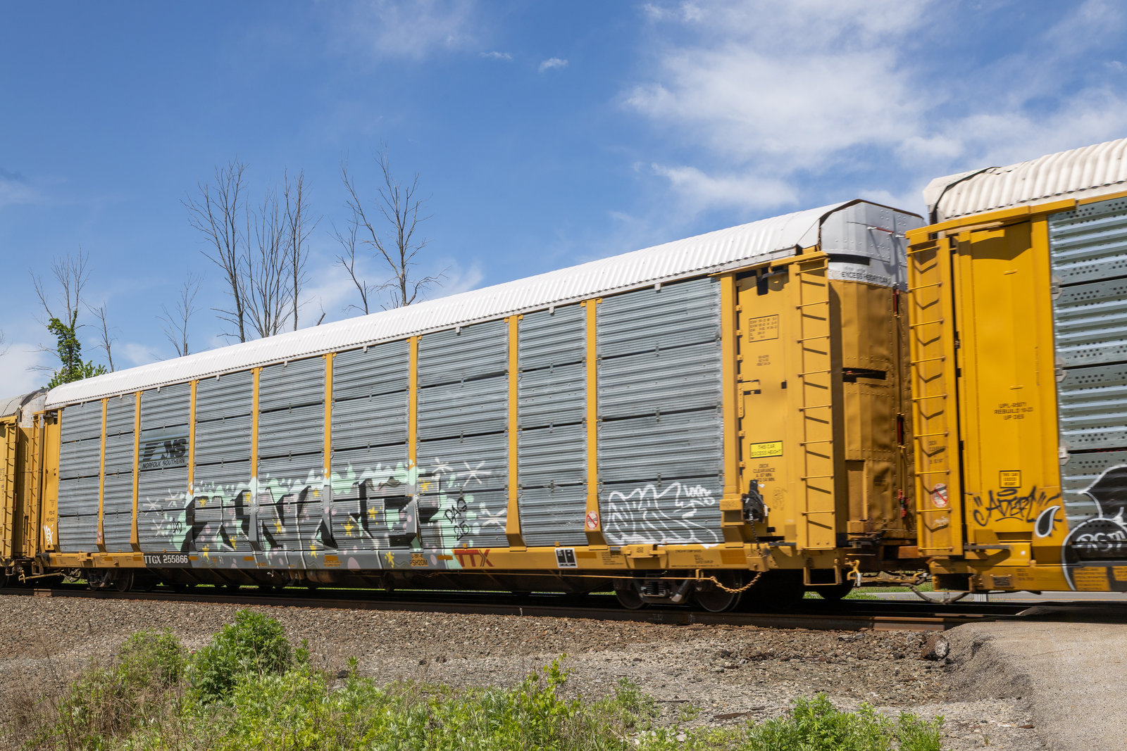 TTGX 255866