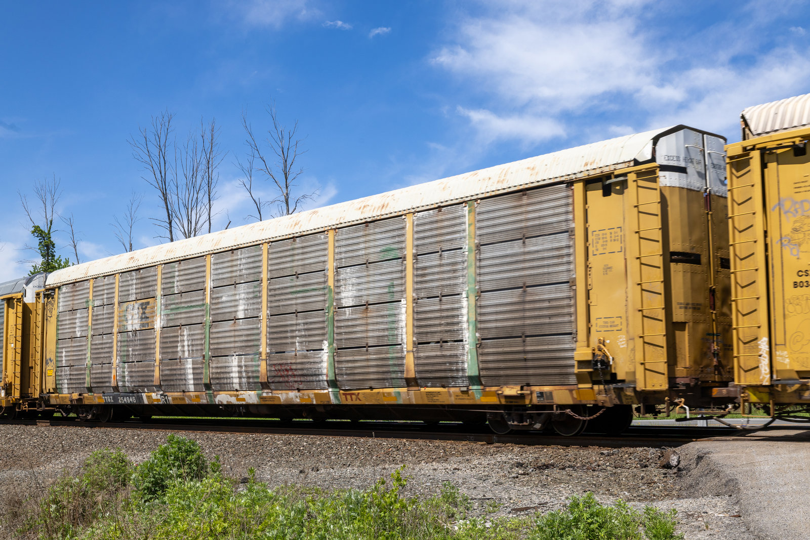 TTGX 254946