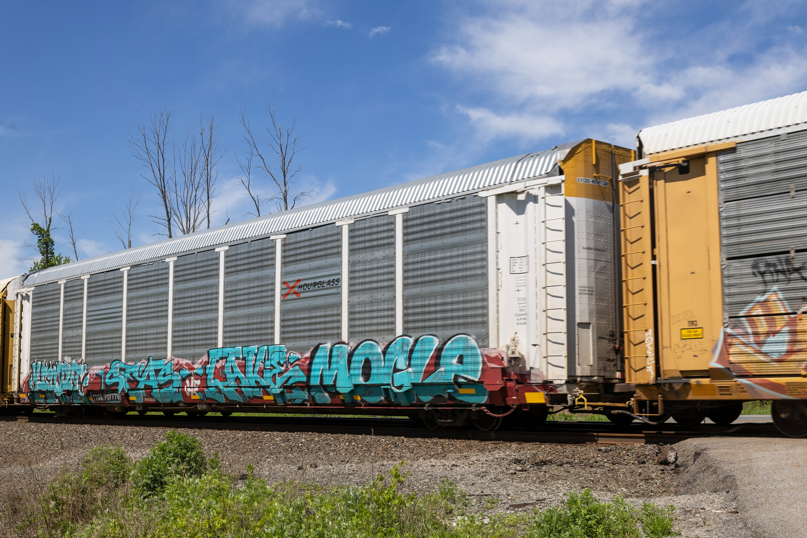 TTGX 707779