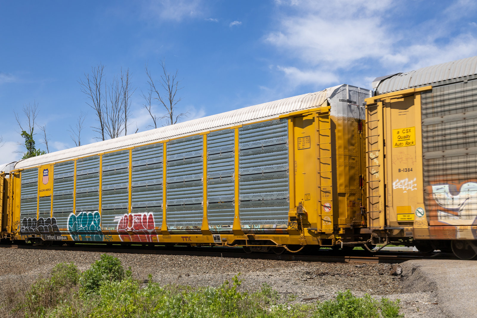 TTGX 820644
