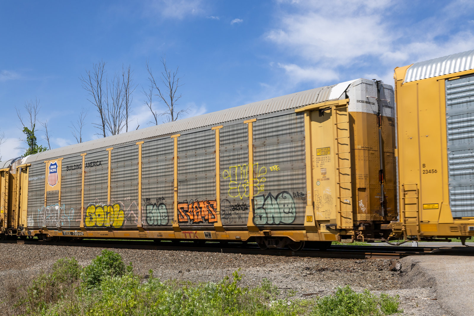 TTGX 700442