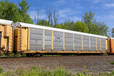 TTGX 255274