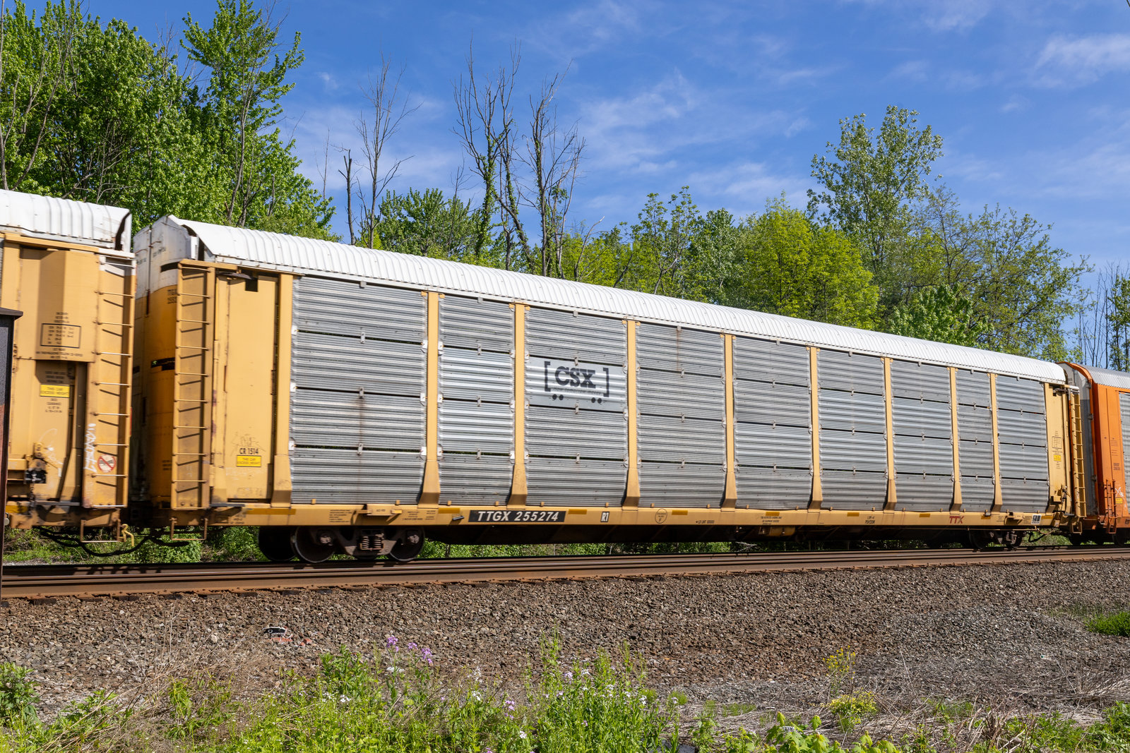 TTGX 255274