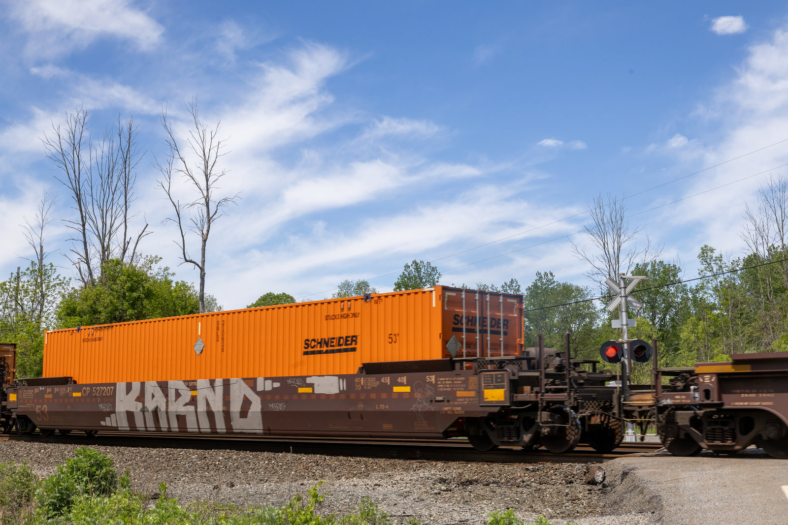 CP 527207