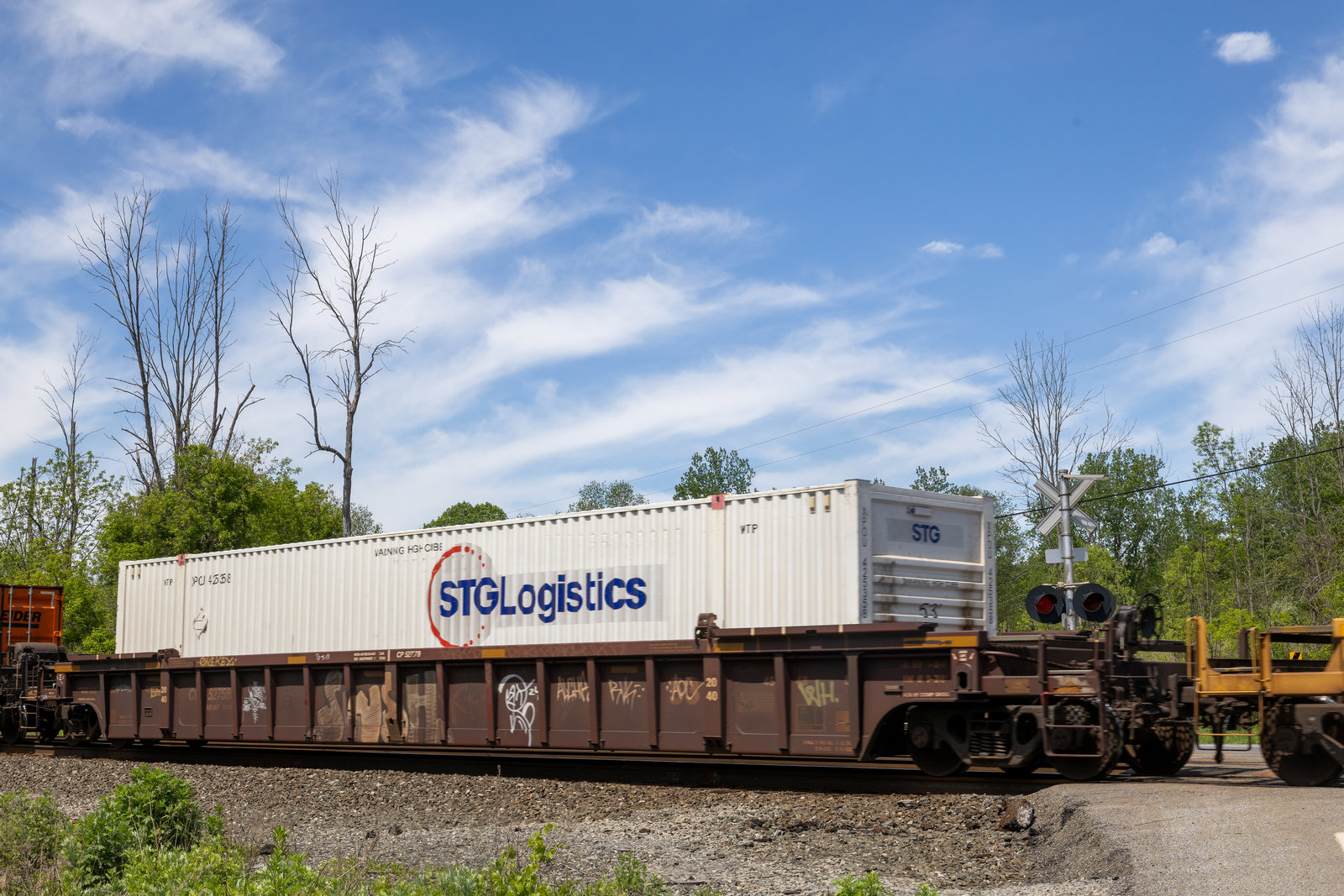 CP 527589