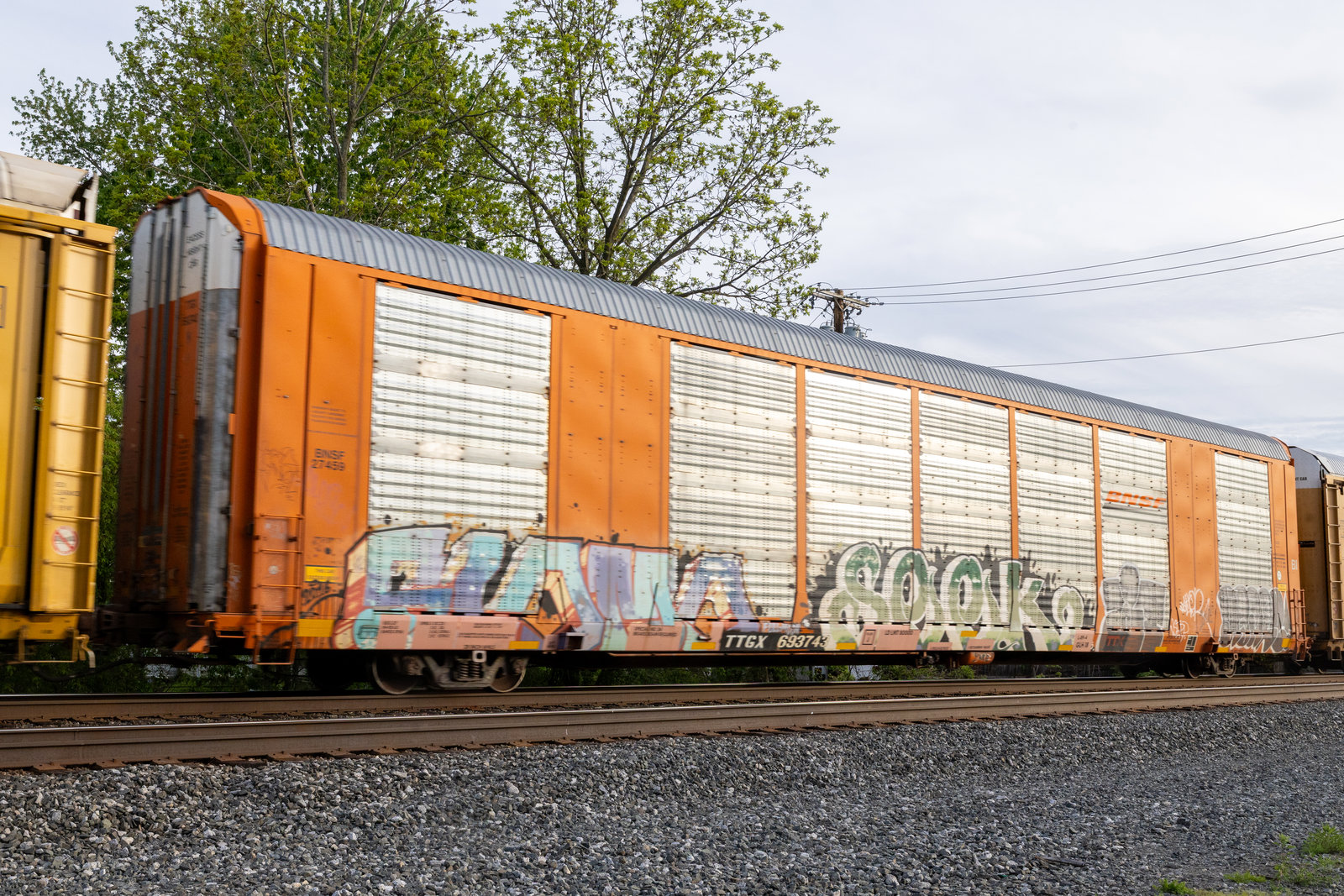 TTGX 693743